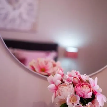 Your Escape: Where Every Sunrise Becomes A Memory * メーリッハ